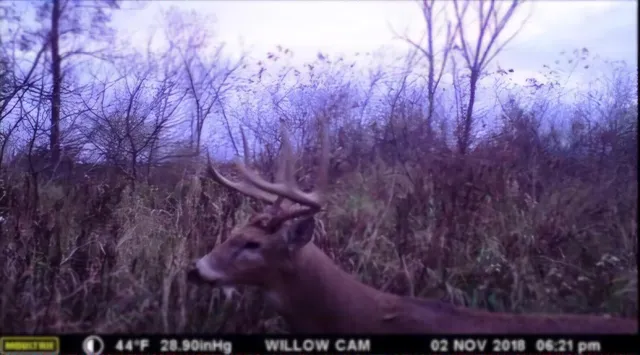 $249,900 | 102 /-, Sturgis, MI 49091