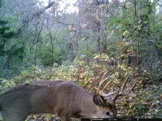 $249,900 | 102 /-, Sturgis, MI 49091