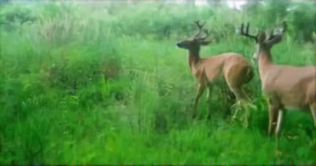 $249,900 | 102 /-, Sturgis, MI 49091