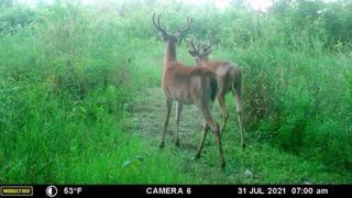 102 /- Sturgis, MI 49091 - Photo 21 of 30 38294
