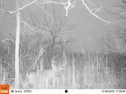 102 /- Sturgis, MI 49091 - Photo 22 of 30 38296