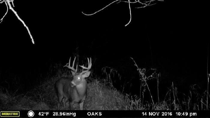 102 /- Sturgis, MI 49091 - Photo 23 of 30 38297