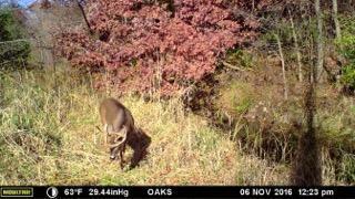 102 /- Sturgis, MI 49091 - Photo 24 of 30 38298