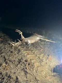 $249,900 | 102 /-, Sturgis, MI 49091