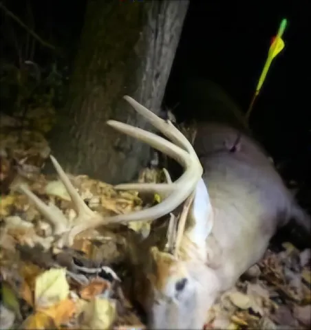 $249,900 | 102 /-, Sturgis, MI 49091