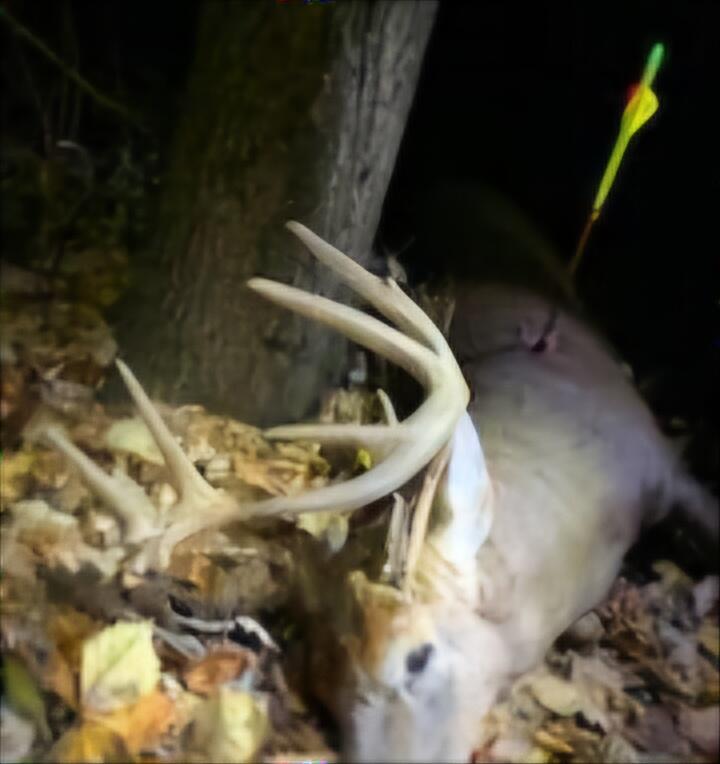 102 /- Sturgis, MI 49091 - Photo 28 of 30 38282