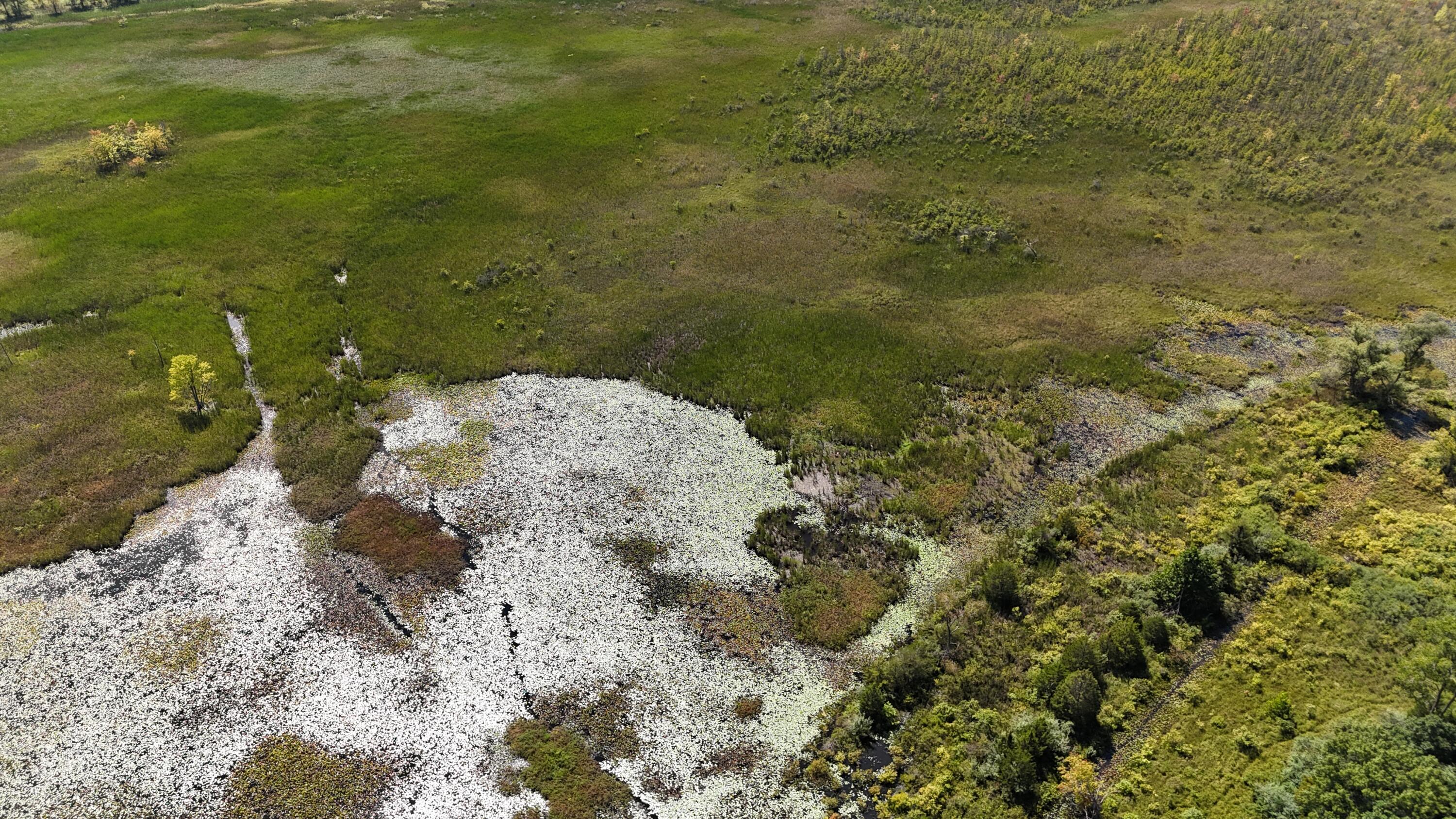 102 /- Sturgis, MI 49091 - Photo 3 of 30 DJI_20240831142718_0004_D