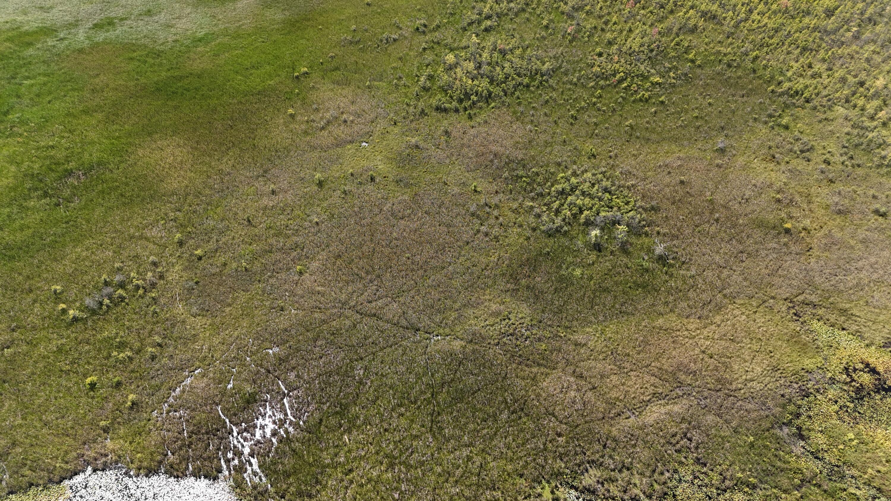 102 /- Sturgis, MI 49091 - Photo 4 of 30 DJI_20240831142740_0005_D