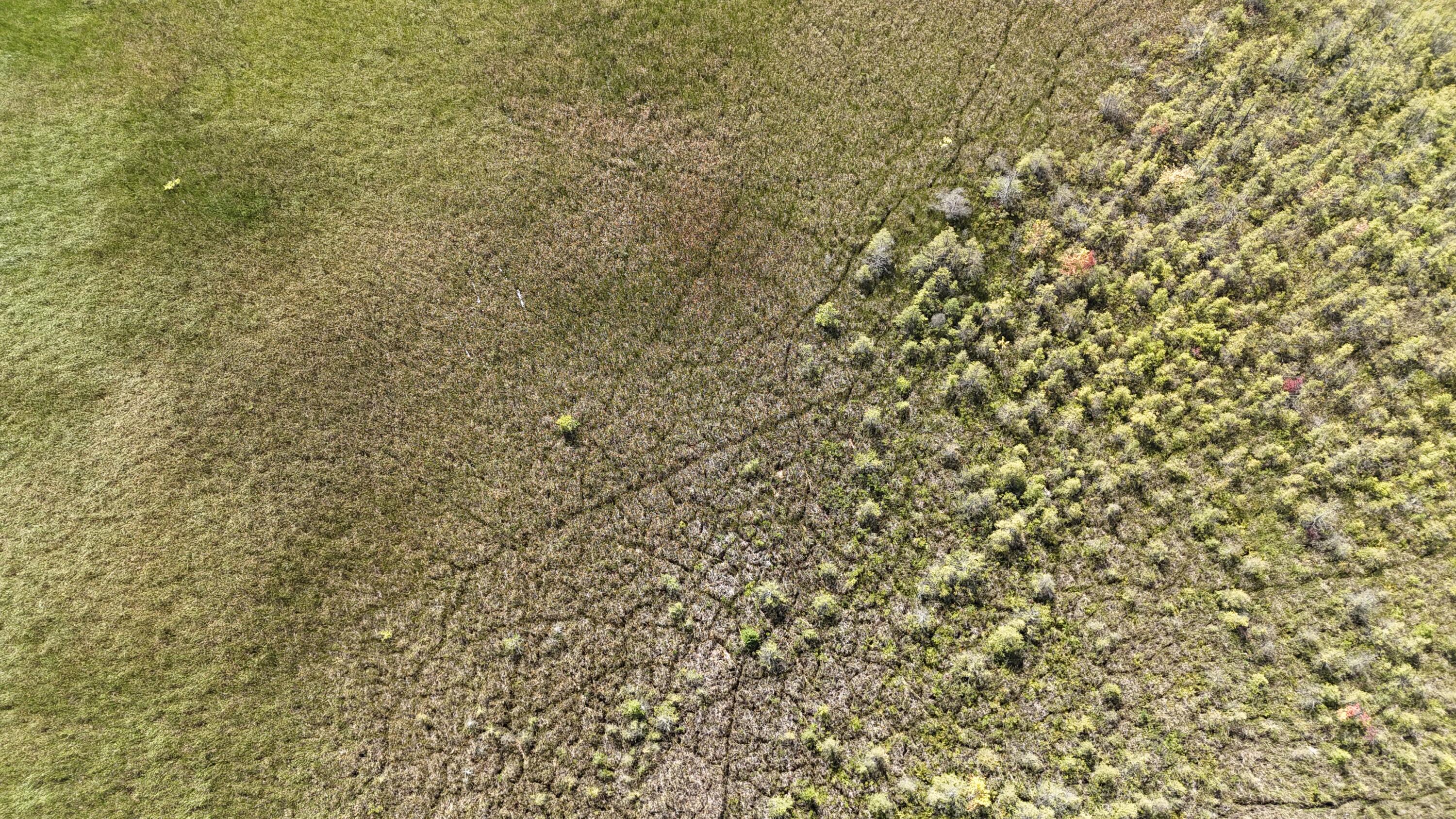 102 /- Sturgis, MI 49091 - Photo 5 of 30 DJI_20240831142812_0006_D