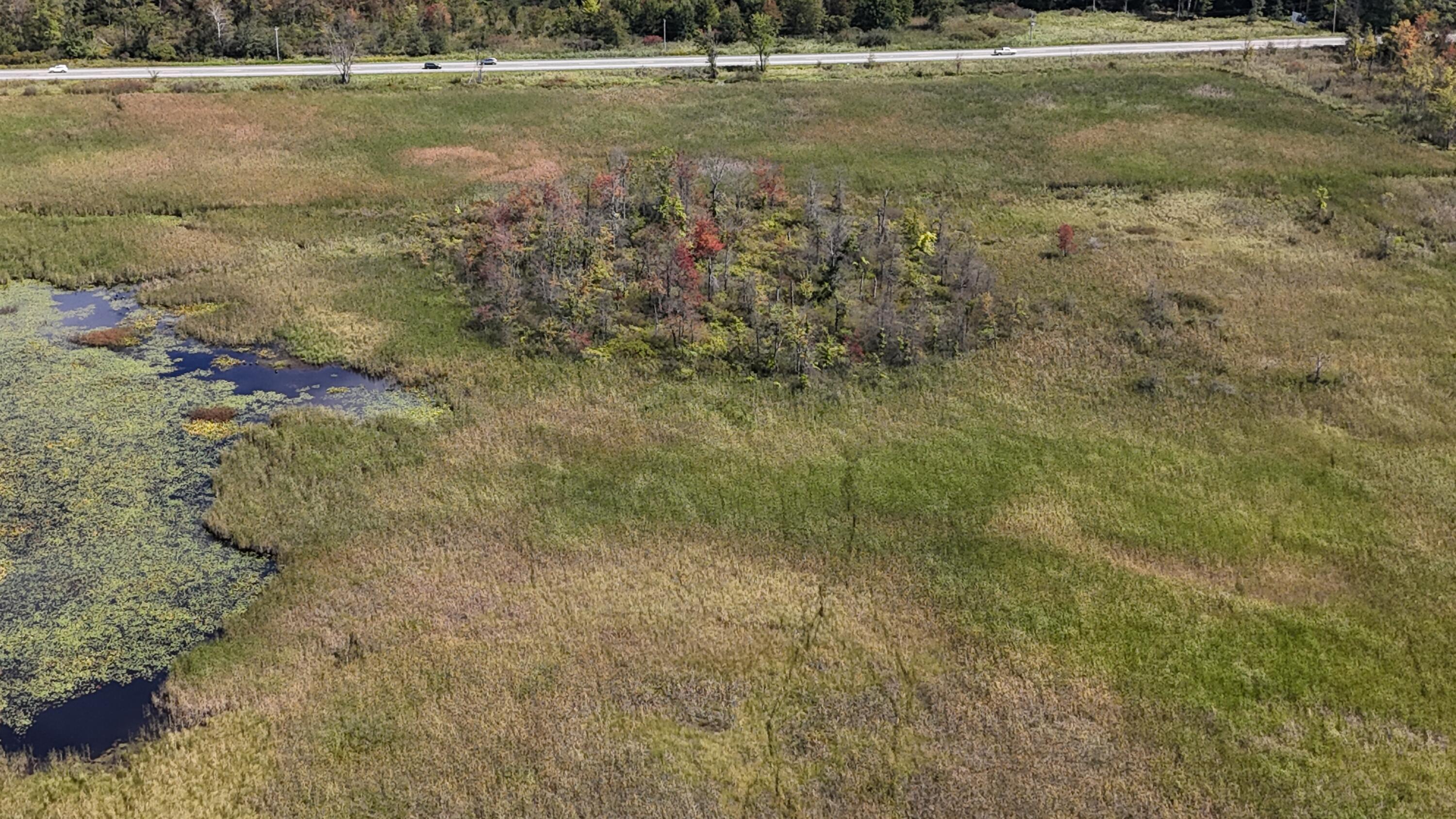 102 /- Sturgis, MI 49091 - Photo 6 of 30 DJI_20240831142935_0009_D