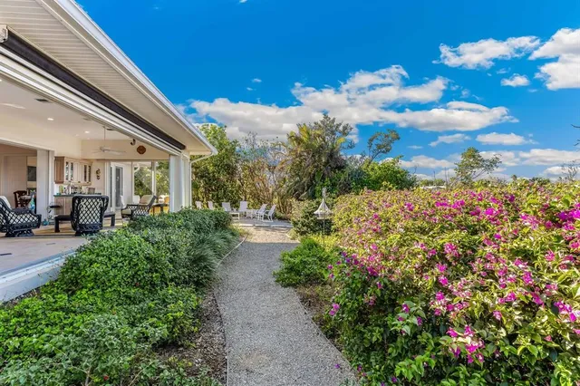 a view of a back yard with flower plants