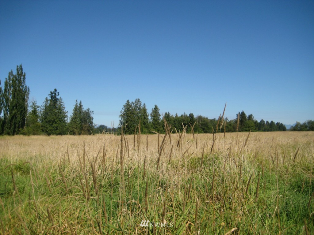 1836 East Badger Road Everson, WA 98247 - Photo 15 of 17