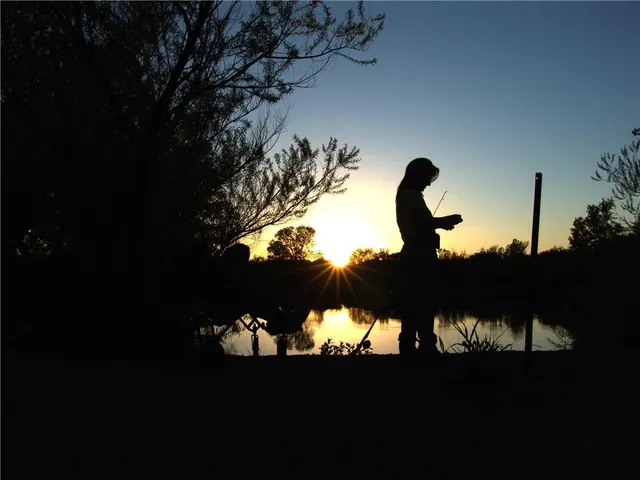 a view of a yard in front of the house
