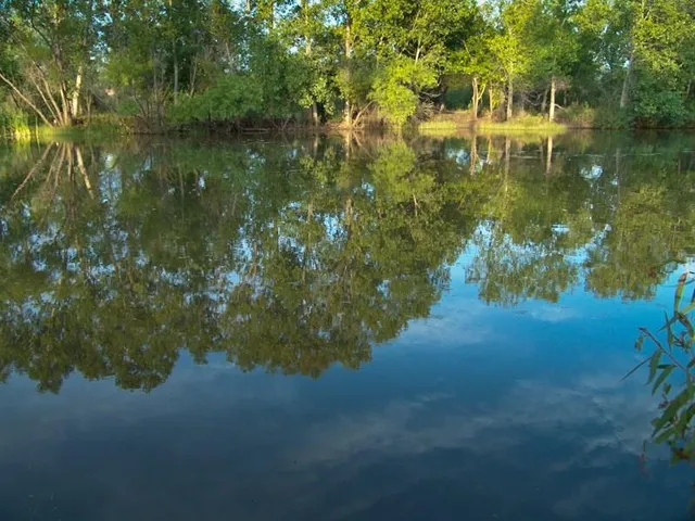 a view of a lake view