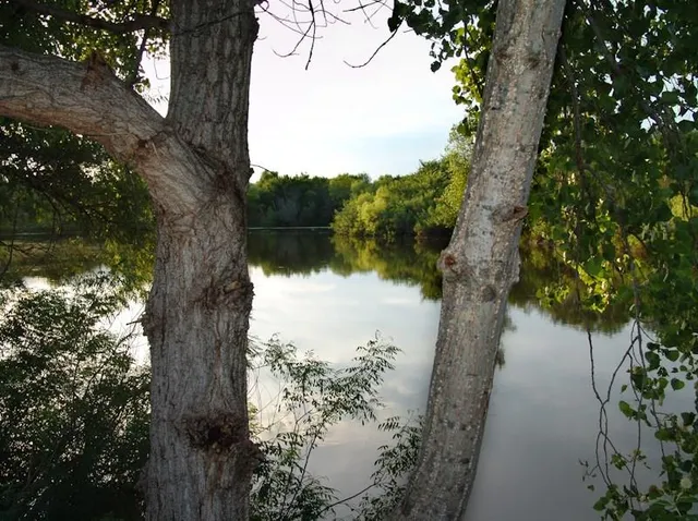a view of lake from a yard