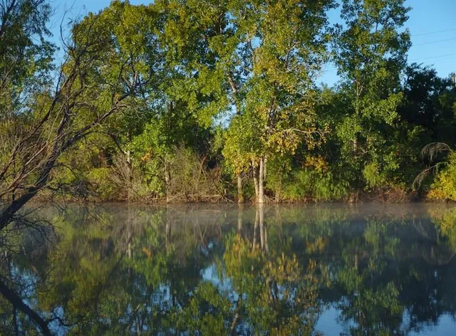 a view of a lake in a forest