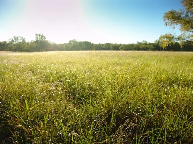 a view of a indoor basketball court