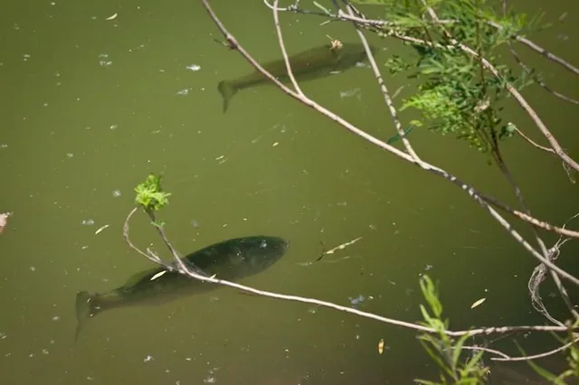 $9,000,000 | 401 Loop 322 Abilene Tx 79601, Abilene, TX 79601