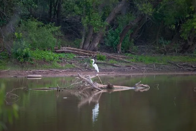 $9,000,000 | 401 Loop 322 Abilene Tx 79601, Abilene, TX 79601