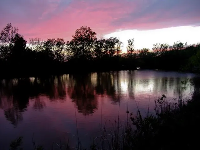 a view of a lake from a yard