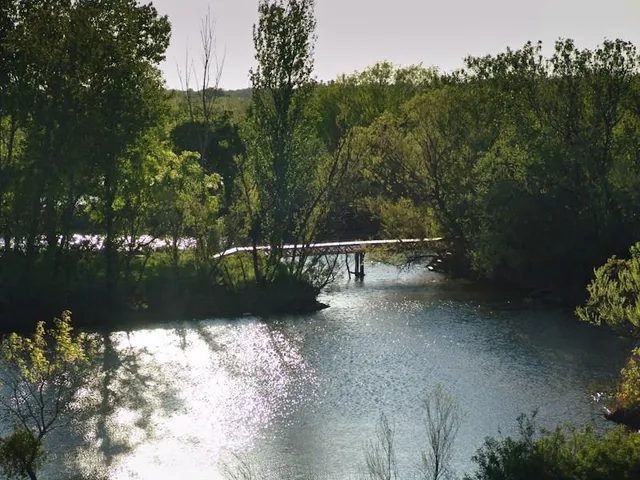 a view of a pathway in a yard