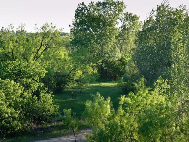 a view of a lake with a yard