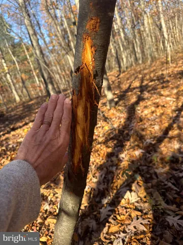 $409,000 | Tract 2-27.15± Acres Tract 2-27.15± Acres Old Harrisburg Road, York Springs, PA 17372