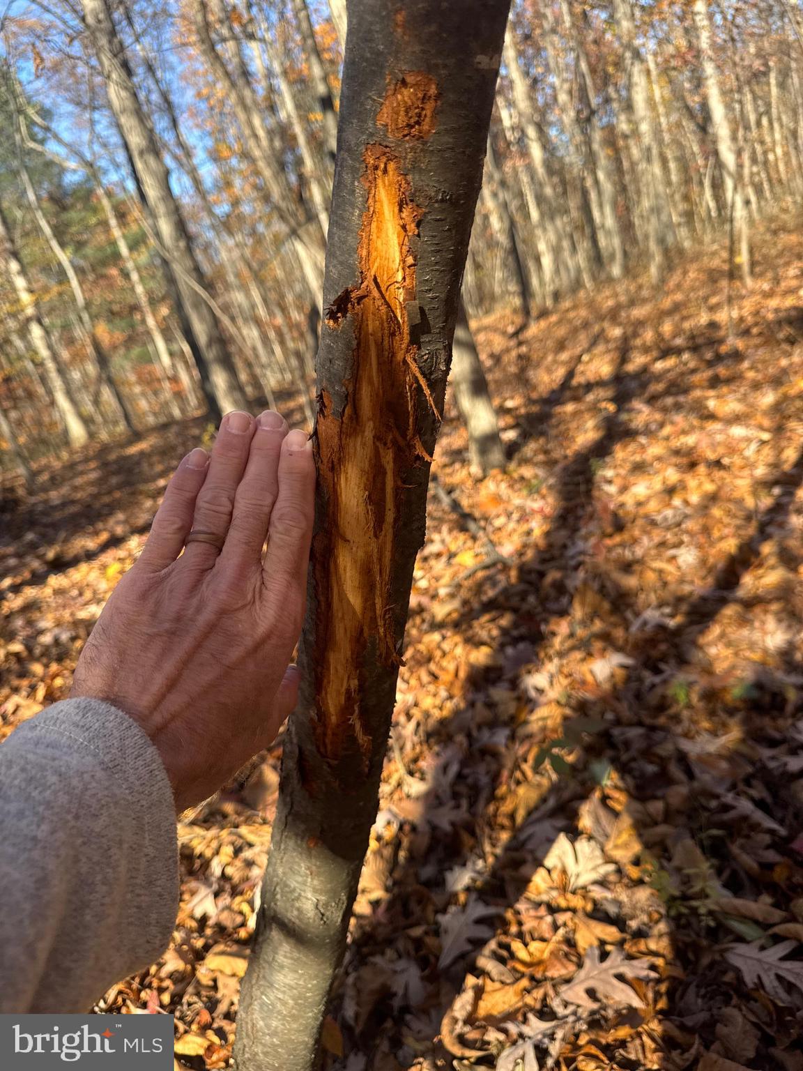 2 27.15 /- Acres Old Harrisburg Road York Springs, PA 17372 - Photo 12 of 37 a view of sitting area