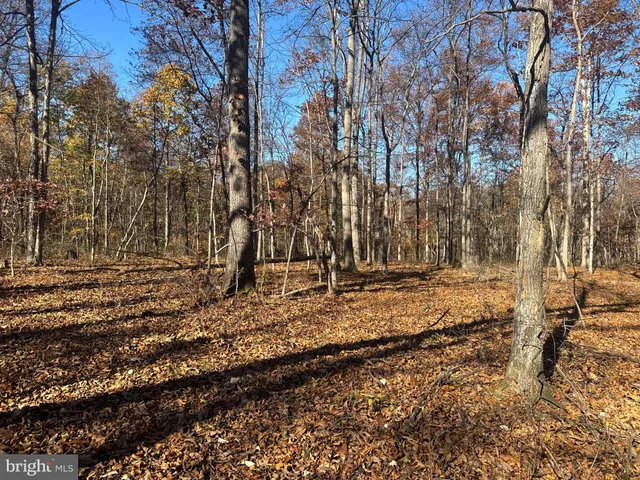 $409,000 | Tract 2-27.15± Acres Tract 2-27.15± Acres Old Harrisburg Road, York Springs, PA 17372