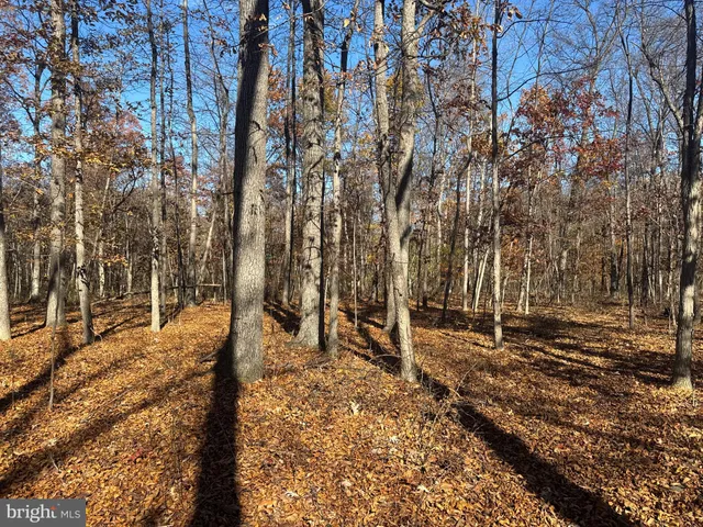 $409,000 | Tract 2-27.15± Acres Tract 2-27.15± Acres Old Harrisburg Road, York Springs, PA 17372