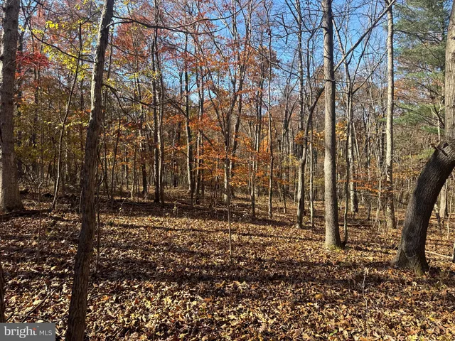 $409,000 | Tract 2-27.15± Acres Tract 2-27.15± Acres Old Harrisburg Road, York Springs, PA 17372