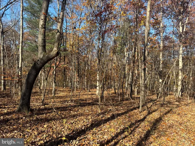 $409,000 | Tract 2-27.15± Acres Tract 2-27.15± Acres Old Harrisburg Road, York Springs, PA 17372