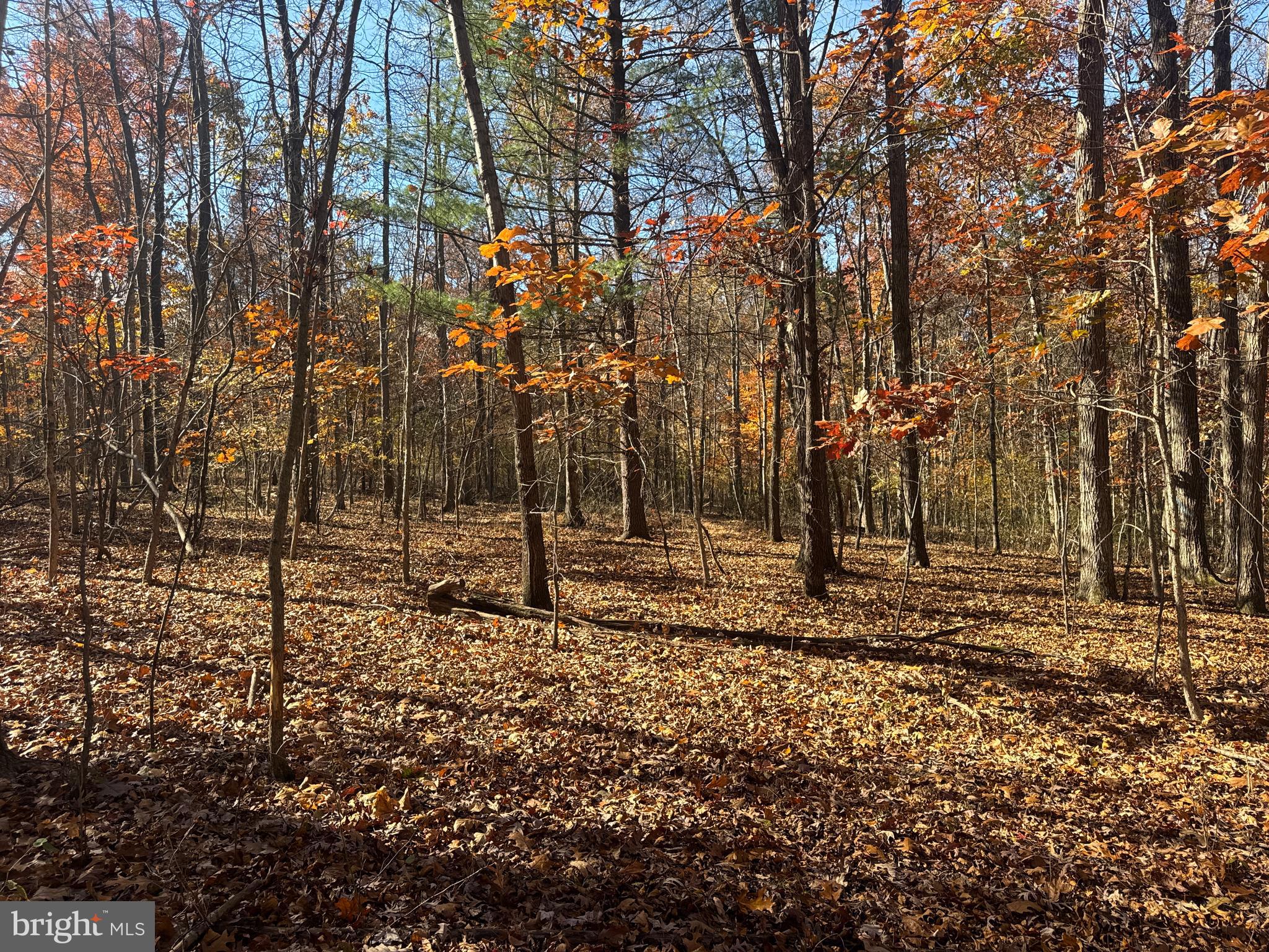 2 27.15 /- Acres Old Harrisburg Road York Springs, PA 17372 - Photo 23 of 37 a backyard of a house with lots of green space