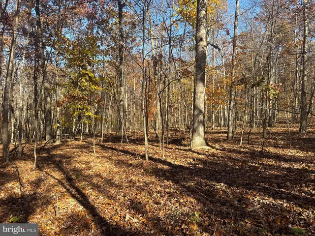 $409,000 | Tract 2-27.15± Acres Tract 2-27.15± Acres Old Harrisburg Road, York Springs, PA 17372
