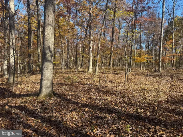 $409,000 | Tract 2-27.15± Acres Tract 2-27.15± Acres Old Harrisburg Road, York Springs, PA 17372