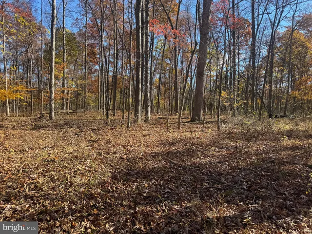 $409,000 | Tract 2-27.15± Acres Tract 2-27.15± Acres Old Harrisburg Road, York Springs, PA 17372