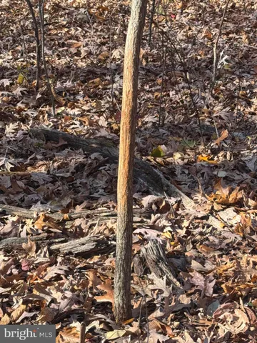 $409,000 | Tract 2-27.15± Acres Tract 2-27.15± Acres Old Harrisburg Road, York Springs, PA 17372