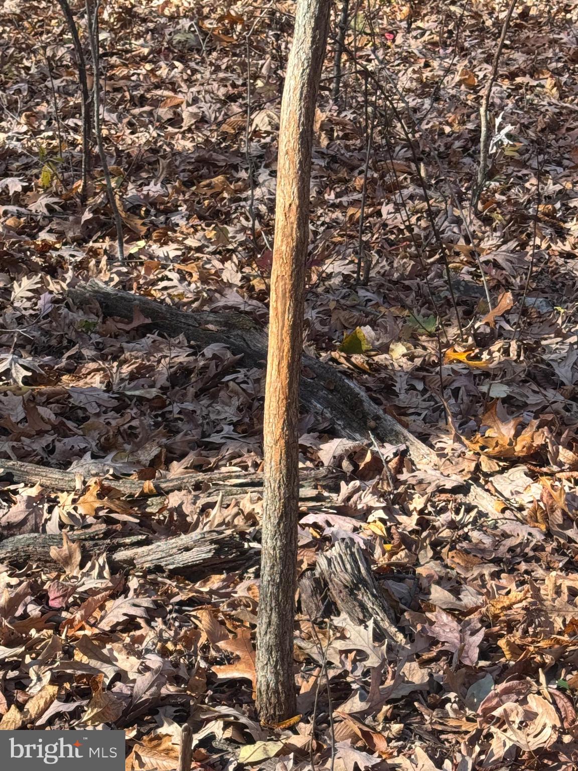 2 27.15 /- Acres Old Harrisburg Road York Springs, PA 17372 - Photo 27 of 37