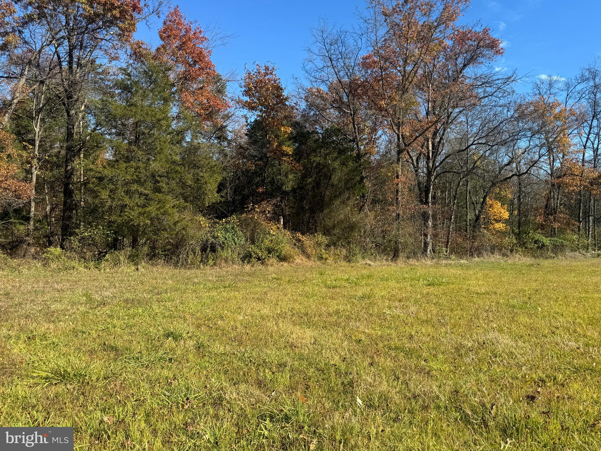 2 27.15 /- Acres Old Harrisburg Road York Springs, PA 17372 - Photo 33 of 37 a view of a yard with an trees