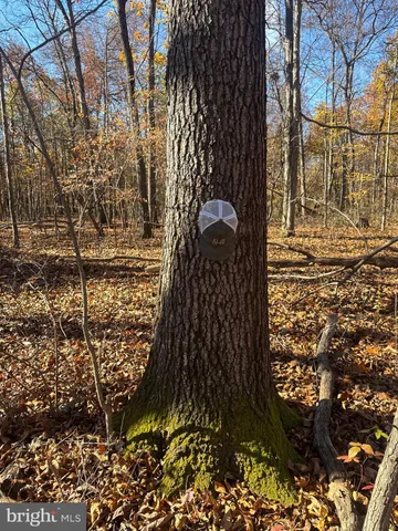 $409,000 | Tract 2-27.15± Acres Tract 2-27.15± Acres Old Harrisburg Road, York Springs, PA 17372