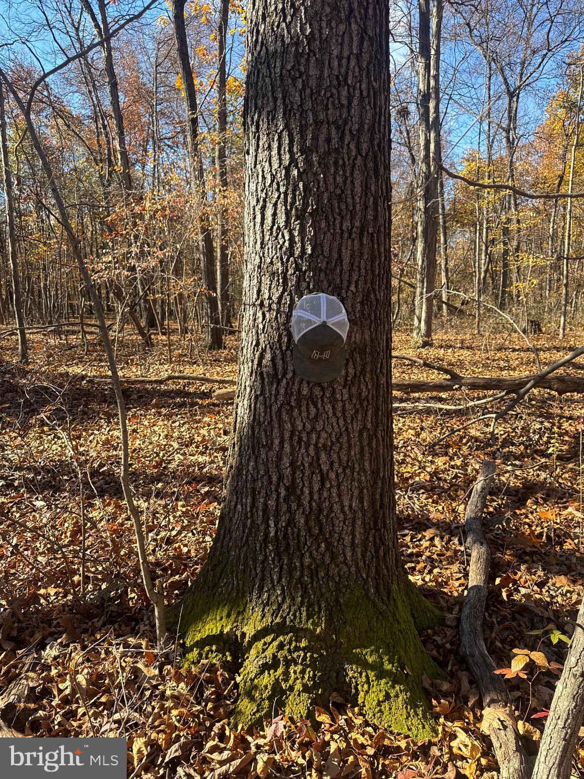 2 27.15 /- Acres Old Harrisburg Road York Springs, PA 17372 - Photo 5 of 37 a view of outdoor space