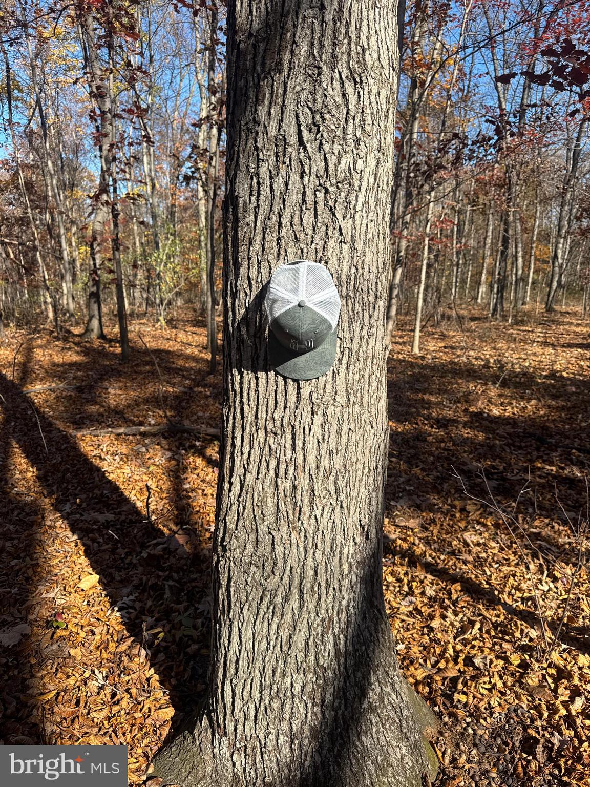 2 27.15 /- Acres Old Harrisburg Road York Springs, PA 17372 - Photo 6 of 37 a view of entryway door