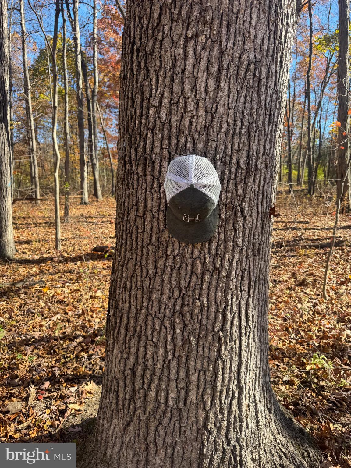 2 27.15 /- Acres Old Harrisburg Road York Springs, PA 17372 - Photo 7 of 37 a bathroom with a shower