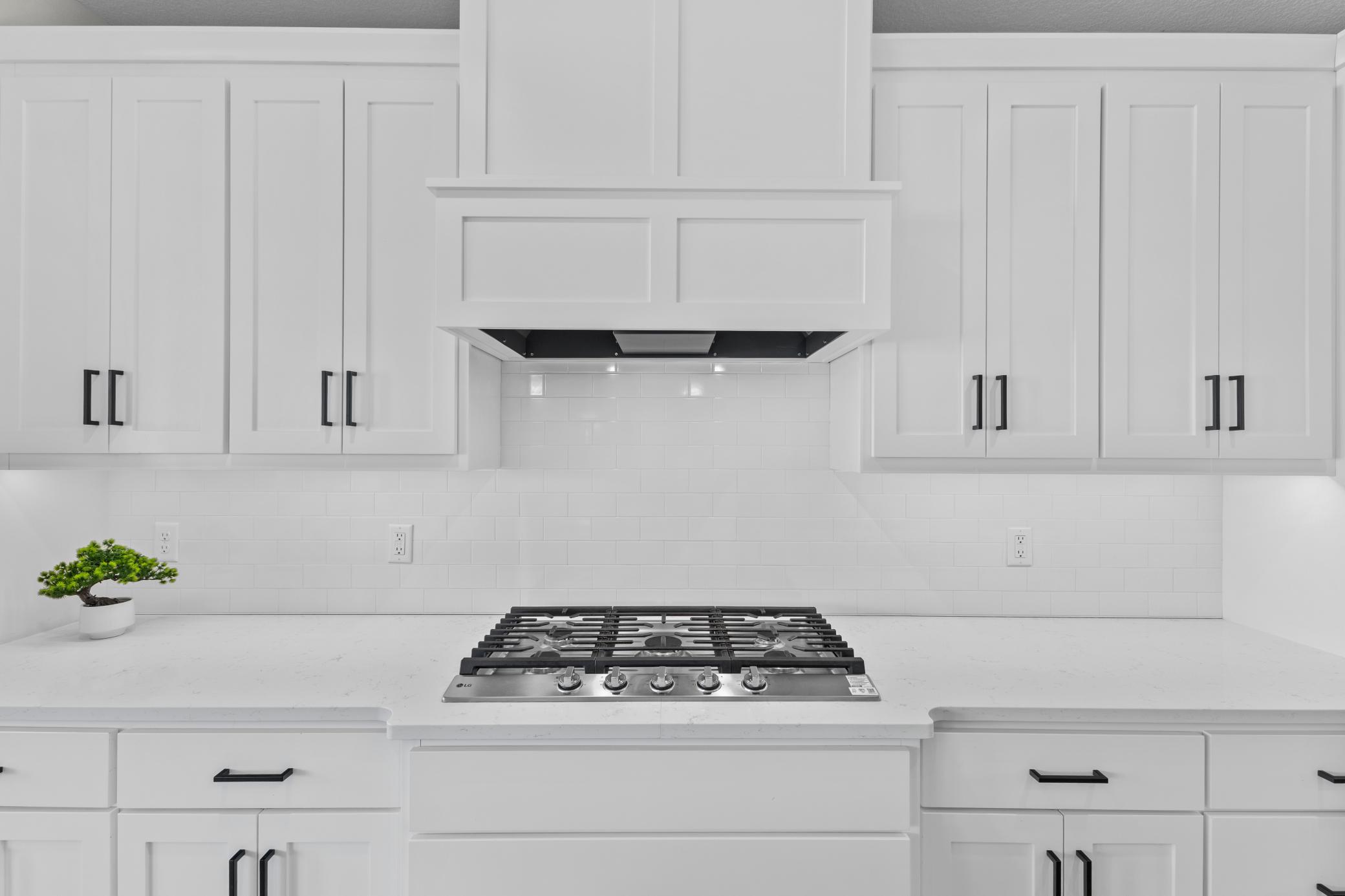 10122 Shadyview Lane North Maple Grove, MN 55311 - Photo 23 of 53