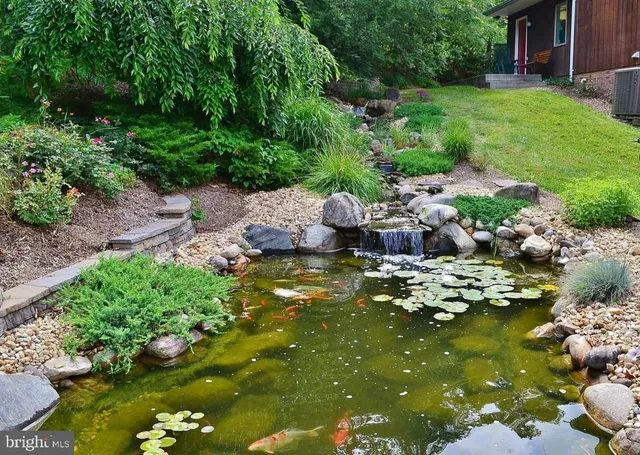 a picture of lake view