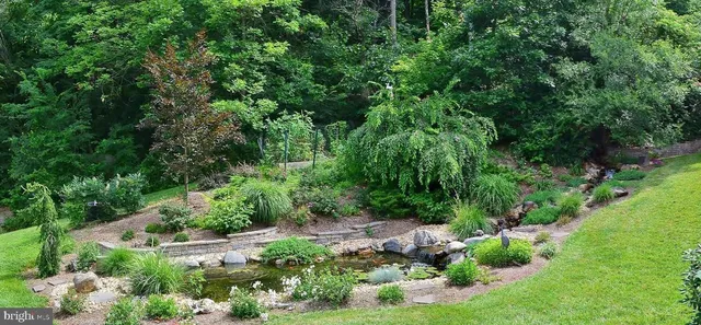 a view of a garden with plants and large trees