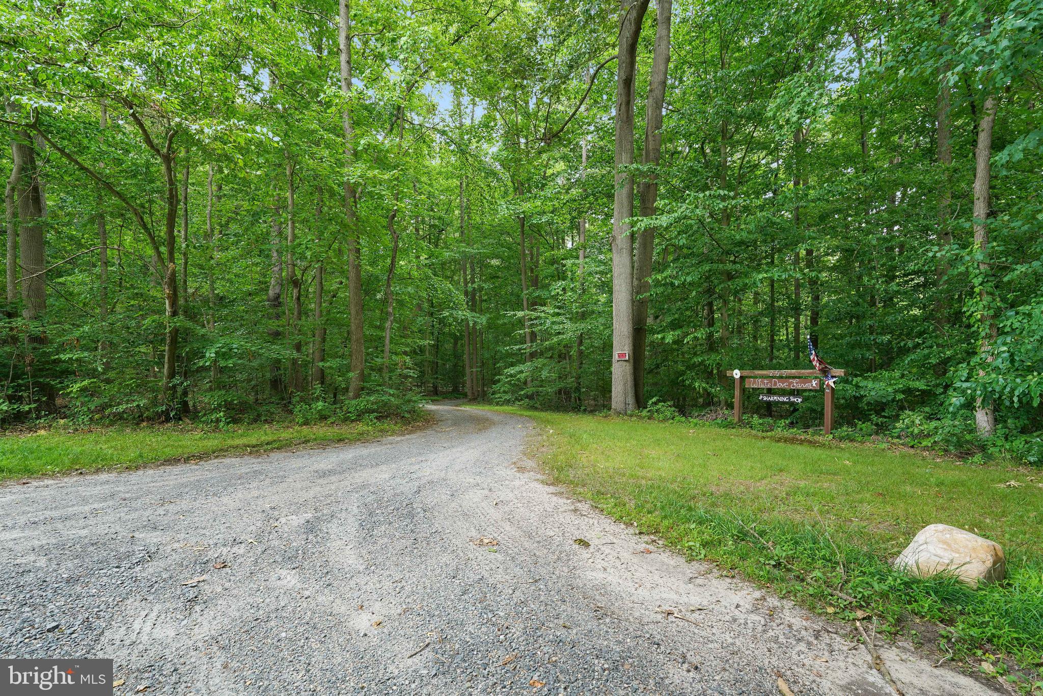 255 Chestnut Springs Road Chesapeake City, MD 21915 - Photo 2 of 42 Long private driveway