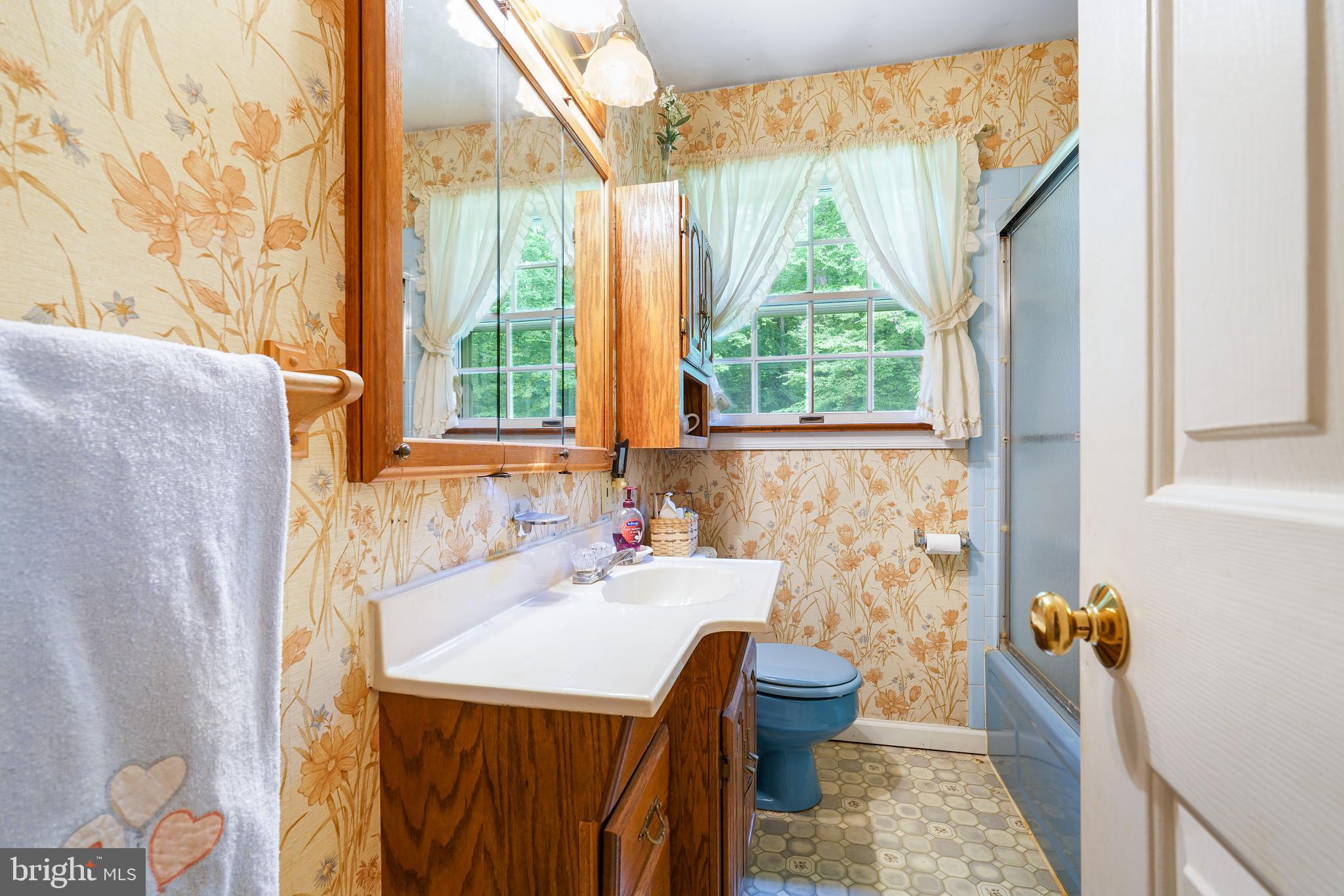 255 Chestnut Springs Road Chesapeake City, MD 21915 - Photo 38 of 42 Upper full bath in hallway.