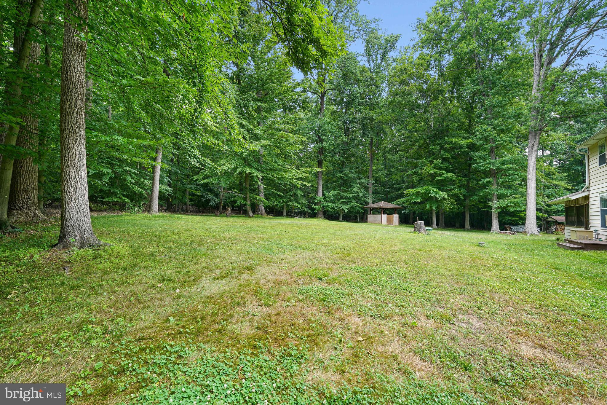 255 Chestnut Springs Road Chesapeake City, MD 21915 - Photo 9 of 42 Beautiful yard surrounded by wood.