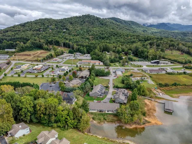 an aerial view of residential houses with outdoor space and trees